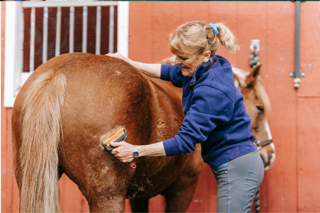lady brushing her horse