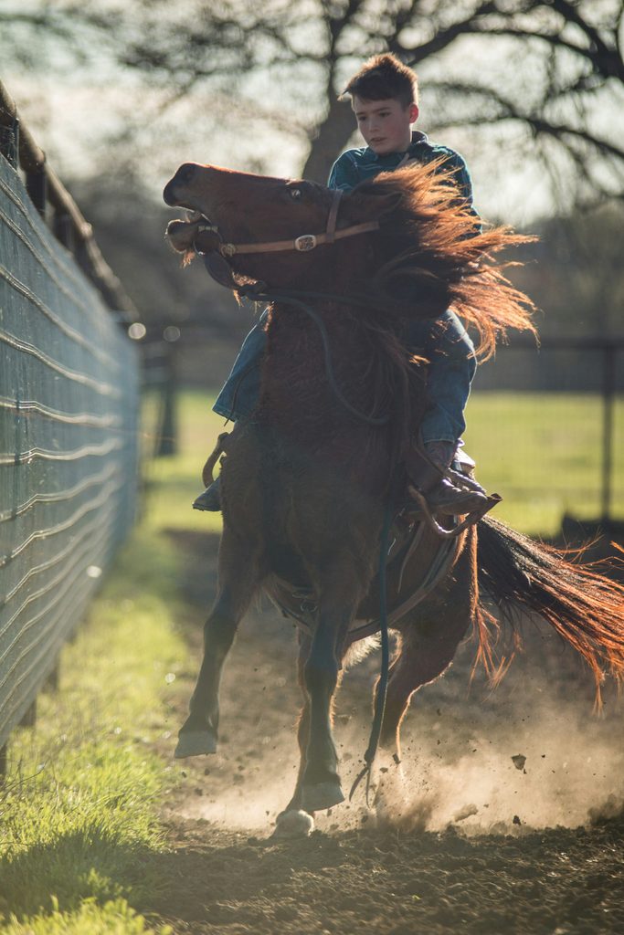 horse raring up with boy riding